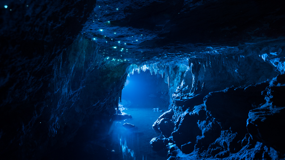 Nikau Cave – Vive la spéléologie !