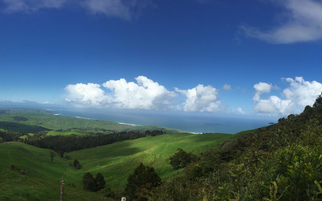 Mount Karioi