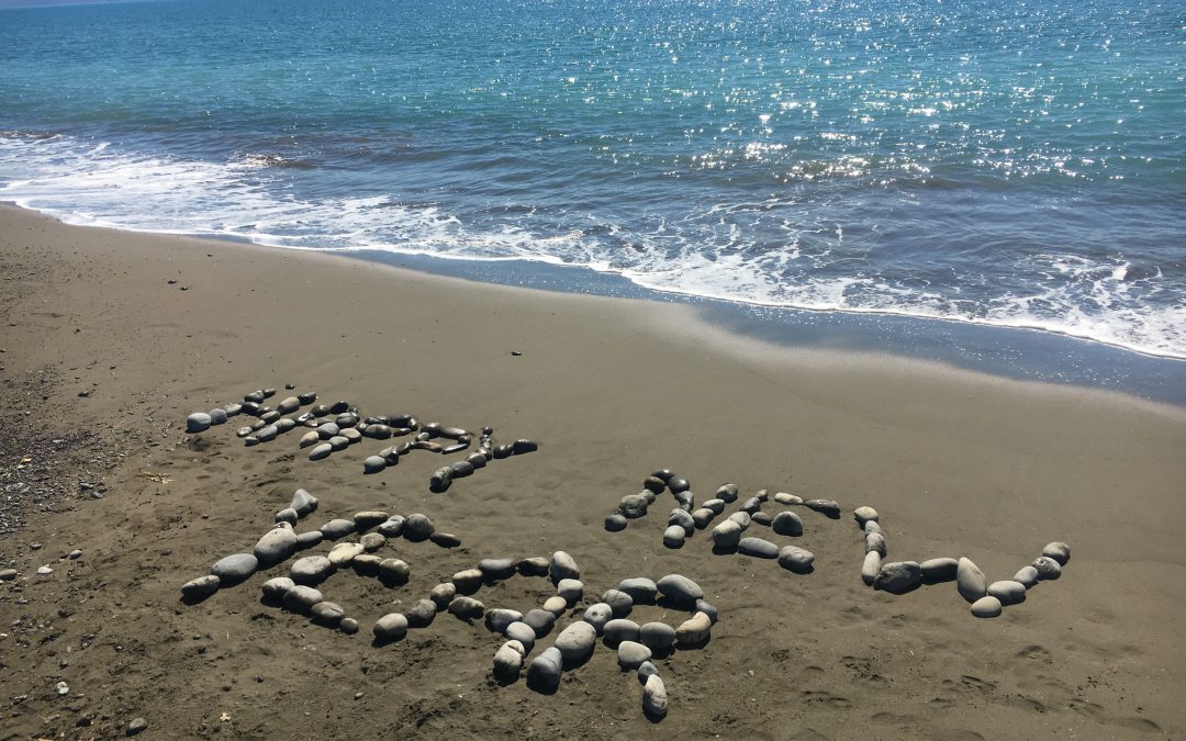 Vacances d’été dans l’île du sud