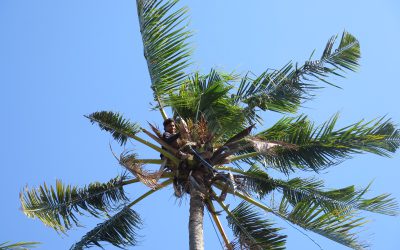 Bali l Une île aux multiples facettes…